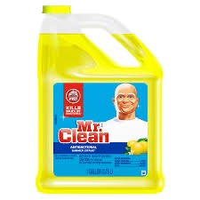 MR CLEAN PRO CLEANER 3/GAL