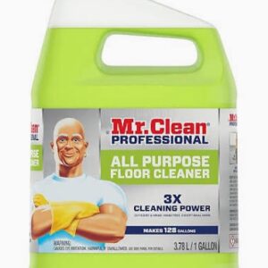 MR CLEAN ALL PURPOSE CLEANER 3/GAL
